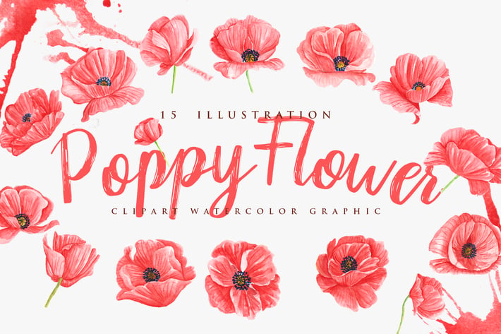 15 Watercolor Poppy Flower Illustration