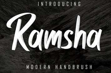 Ramsha Modern Handbrush