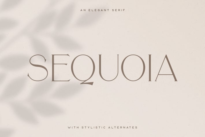 Sequoia Typeface