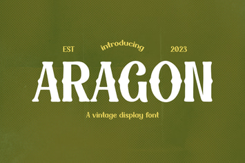 Aragon - Elegance Vintage Font