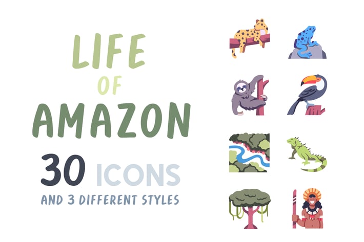 30 Life of Amazon icon set