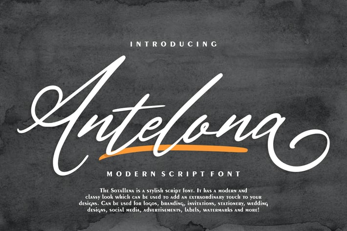 Antelona | Modern Script Font