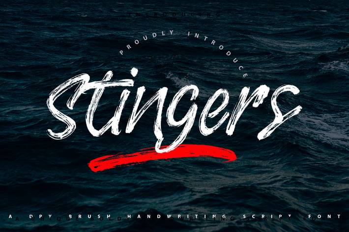 Stingers | Brush Handwriting Script Font