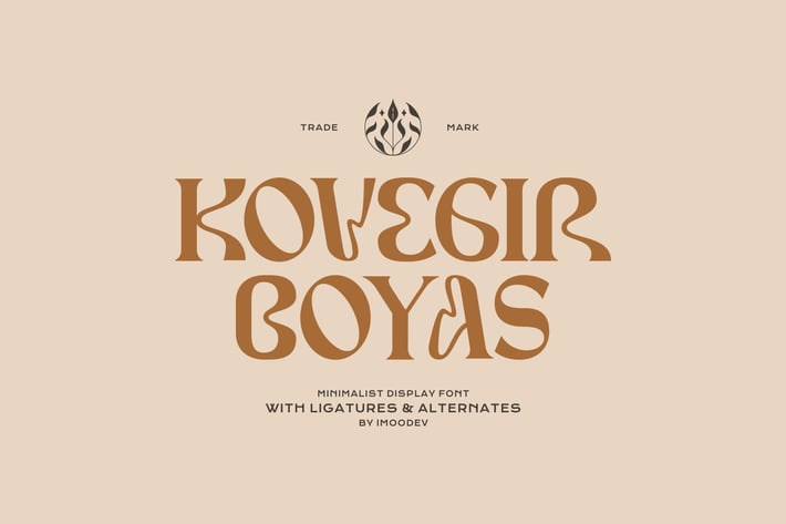Kovegir Boyas - Modern Cursive Font