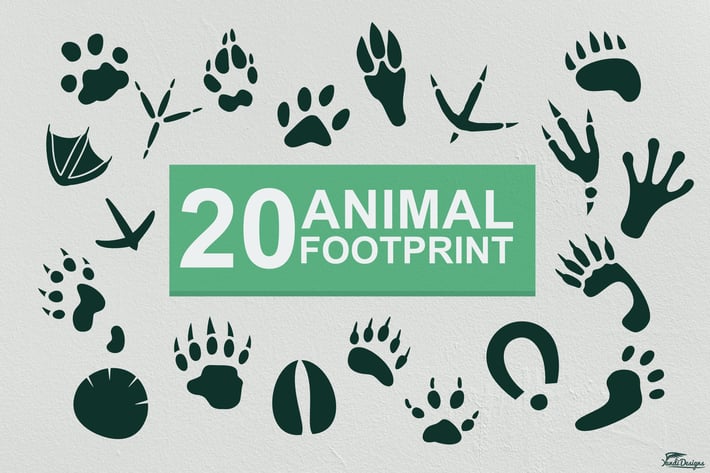 Animal Footprints Vector