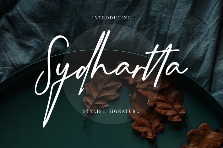 Sydhartta Stylish Business Font