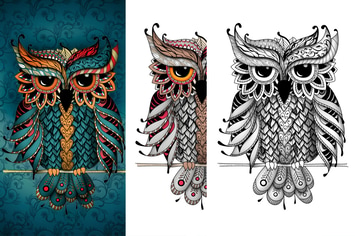 Owl in dudling style