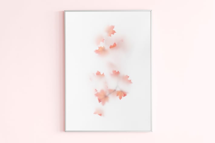 Photo frame on a pink wall with natural light