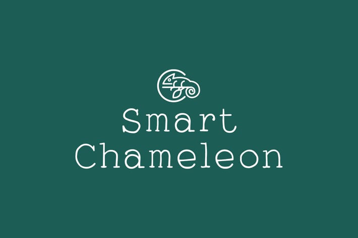 Smart Chameleon