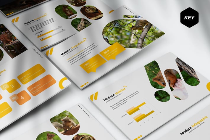Squirrle - Keynote Template