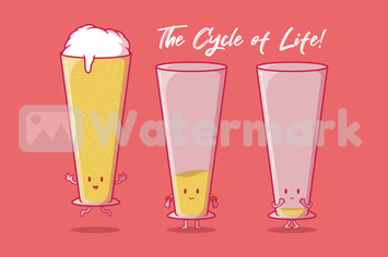 life cycle
