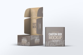 Carton Box Mock-Up v.1
