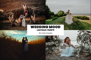 Wedding Mood Lightroom Presets