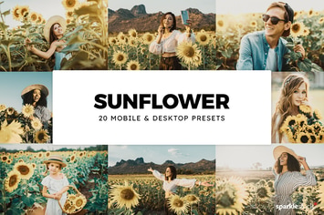 20 Sunflower Lightroom Presets & LUTs