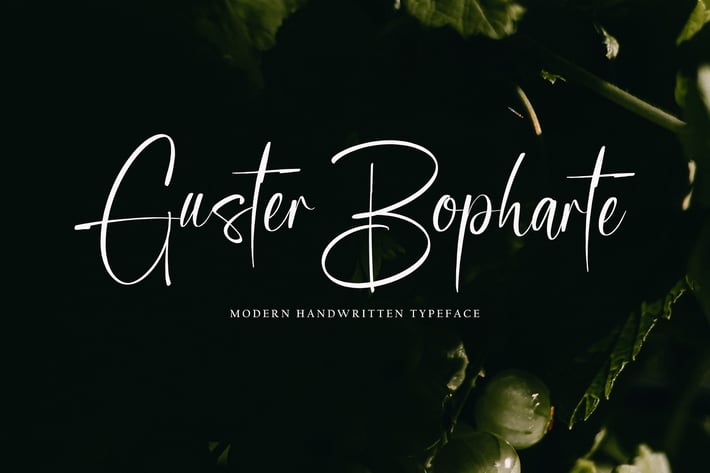 Guster Bopharte