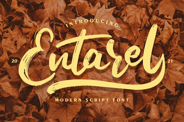 Entarel | Modern Script Font