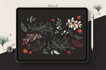 Winter Foliage // Botanicals