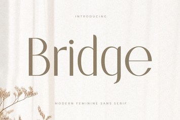 Bridge - Modern Feminine Sans Serif