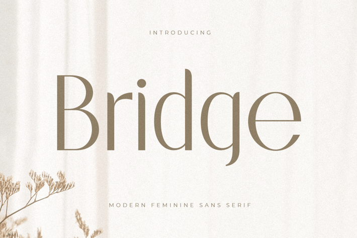 Bridge - Modern Feminine Sans Serif