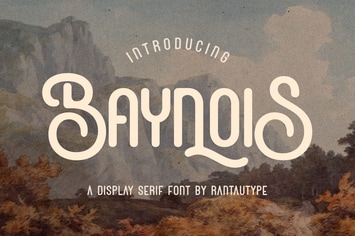 Baynois Vintage Monoline Font