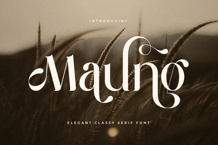 Maung - Elegant Classy Serif Font