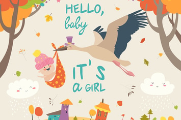 Stork is flying in the sky with baby