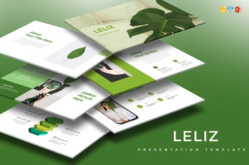Leliz - Presentation Template