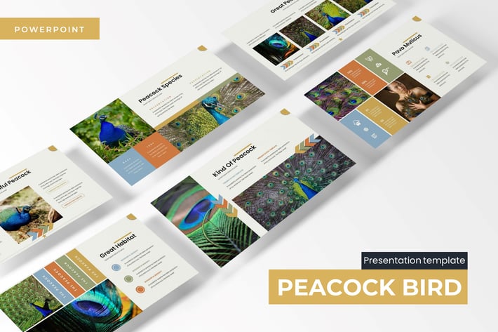 Peacock Bird - Powerpoint Template