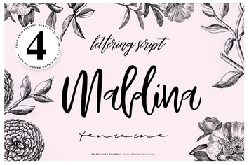 Maldina 4 fonts