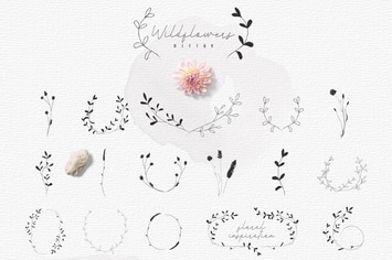 Hand-drawn Botanic elements, Wildflowers Rustic.