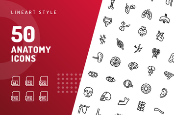 Anatomy Line Icons