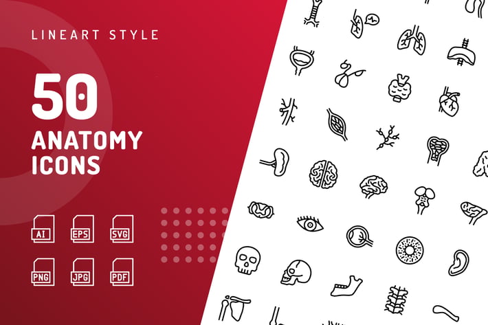 Anatomy Line Icons