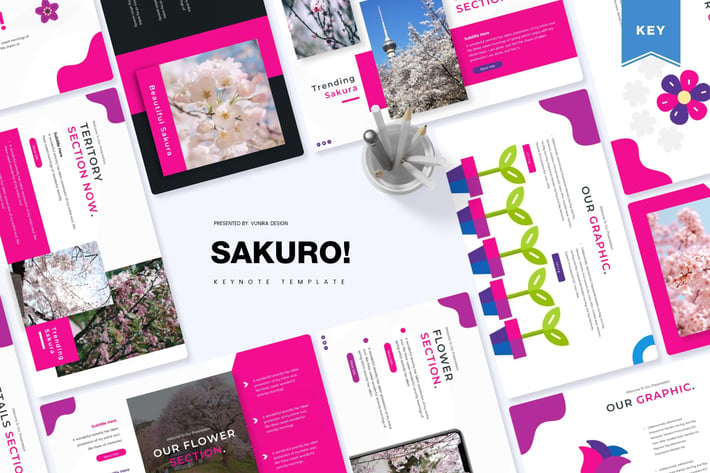 Sakuro! | Keynote Template