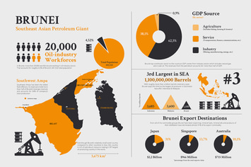 Brunei Map - Geographic infographic templates