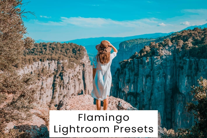 Flamingo Lightroom Presets