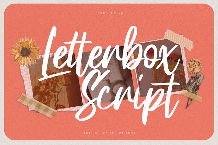 Letterbox Script - This is Fun Script Font