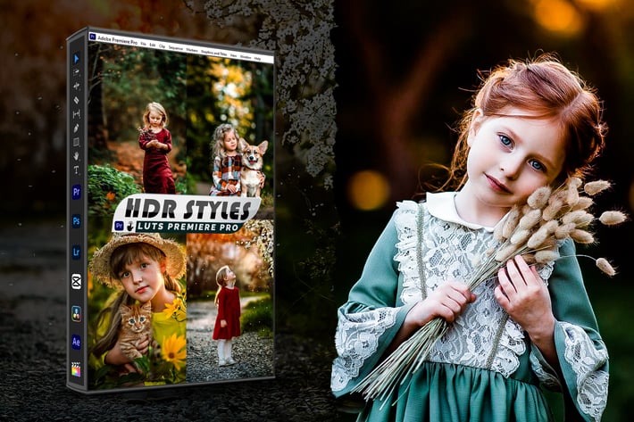 HDR Life Style Presets And luts Video Premiere Pro