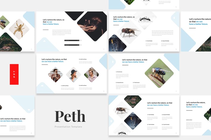 Peth - Pest Control Powerpoint Template