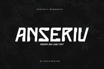 Anseriv Modern Sport