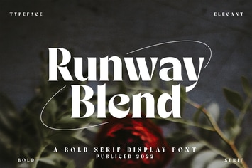Elegant Bold Serif Display Font