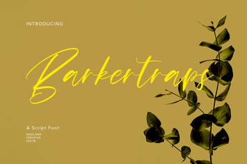 Barkertraps Script Font
