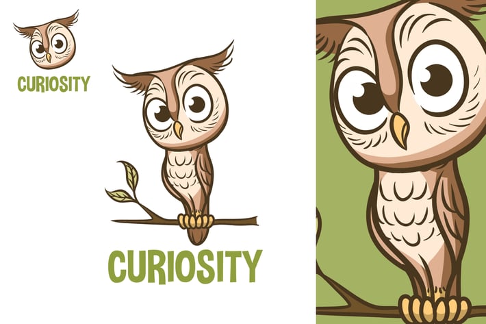 Cartoon Cute Owl Mascot Logo