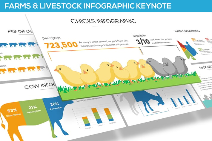 Farms and Livestock Infographic for Keynote