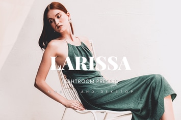 Larissa Lightroom Presets Dekstop and Mobile