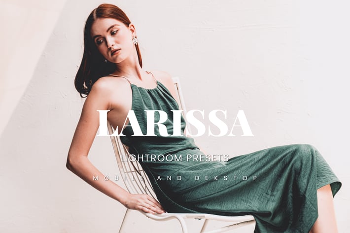 Larissa Lightroom Presets Dekstop and Mobile