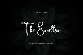 The Swallow