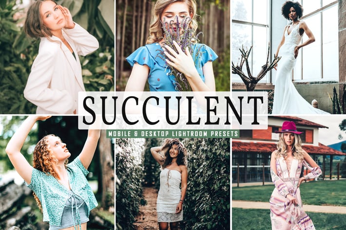 Succulent Mobile & Desktop Lightroom Presets