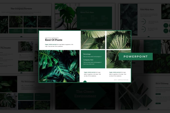 The Green Evnvironment - Powerpoint Template