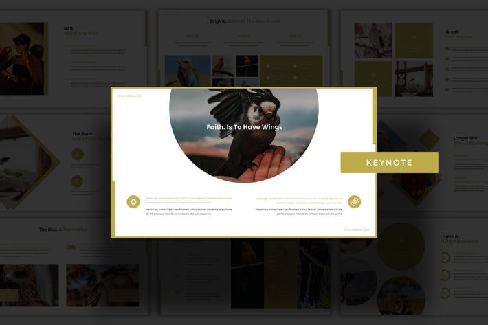 Animalou - Keynote Template