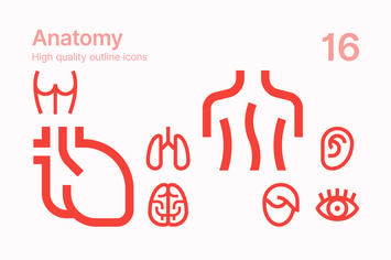 Anatomy Icons